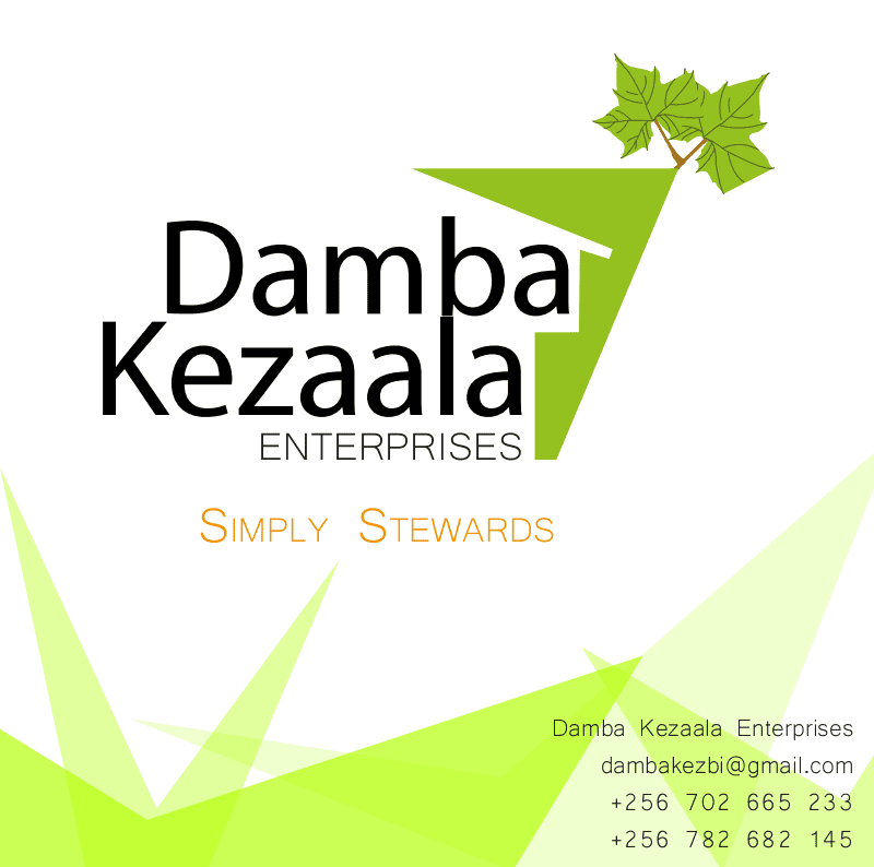 Damba Kezaala Enterprises South Sudan